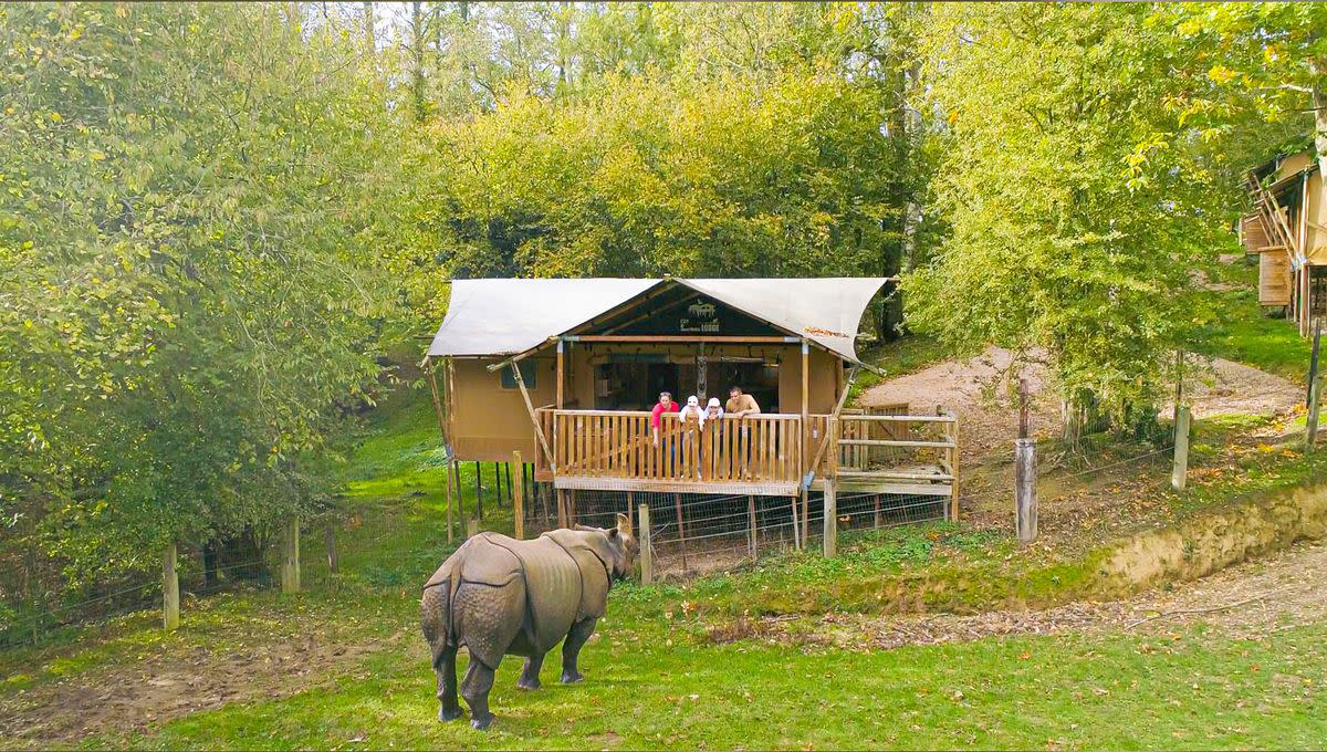 Cerza Safari Lodges  - Rhino in front of lodge
