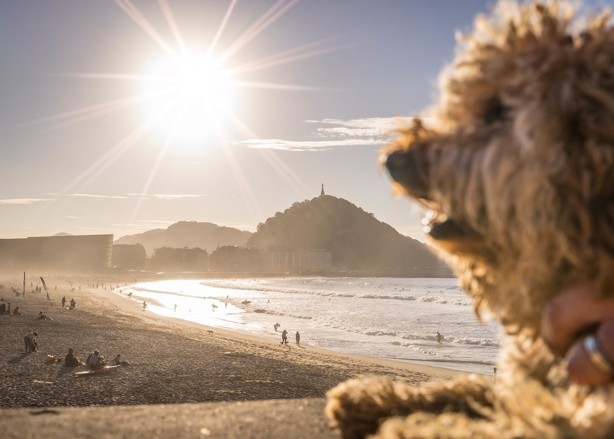 A dog enjoys the view of Zurriola beach and Mount Urgull, San Sebastián © @donostiaturismoa