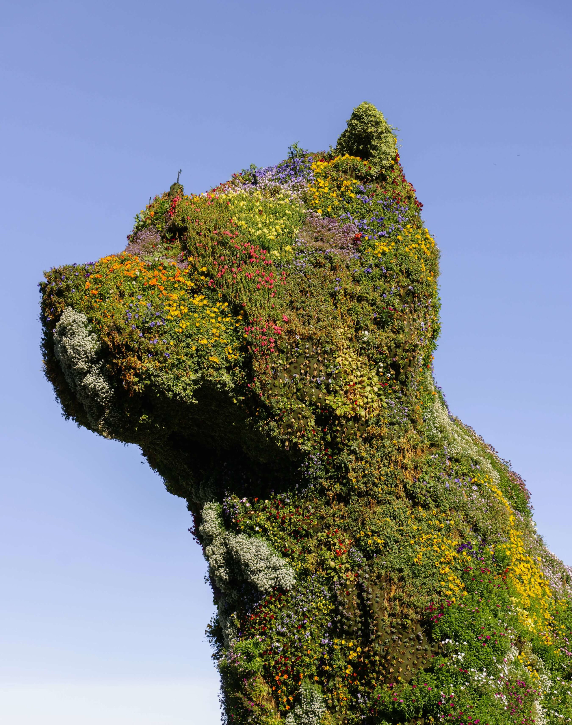 The Puppy statue outside the Guggenheim Bilbao
