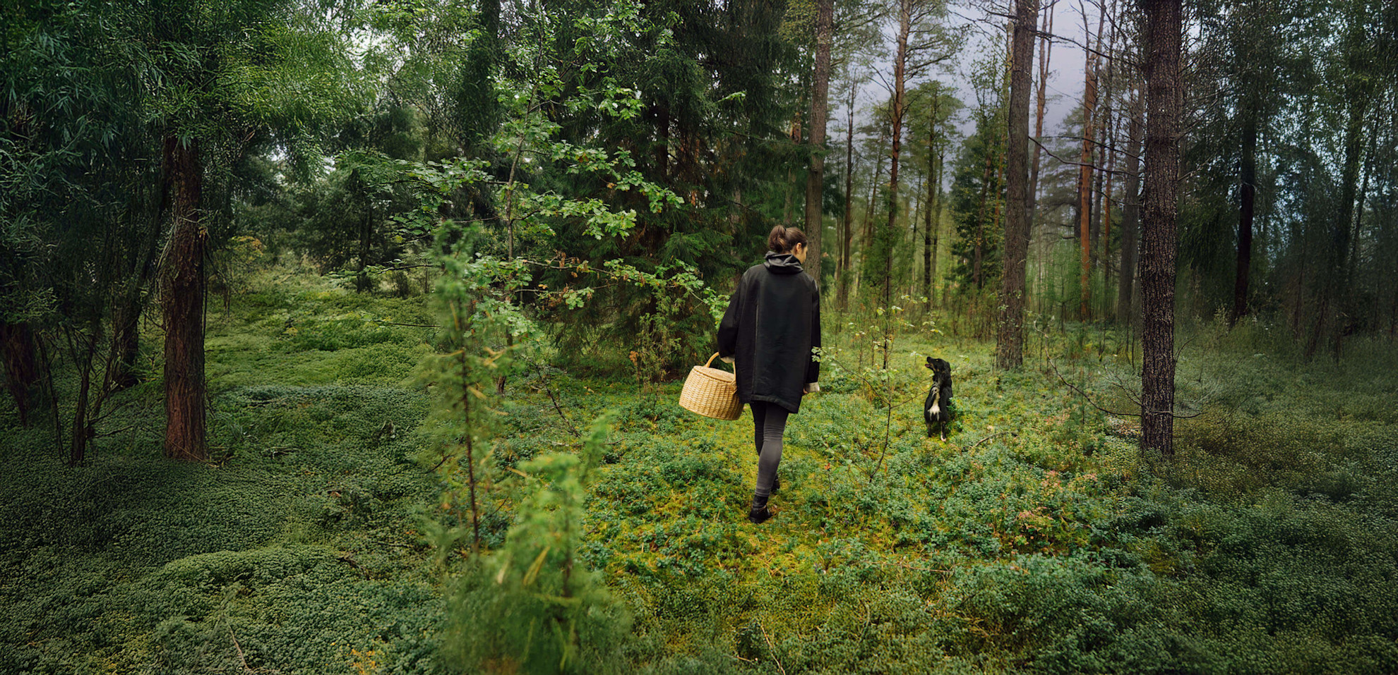 A woman and dog foraging for food in a forest