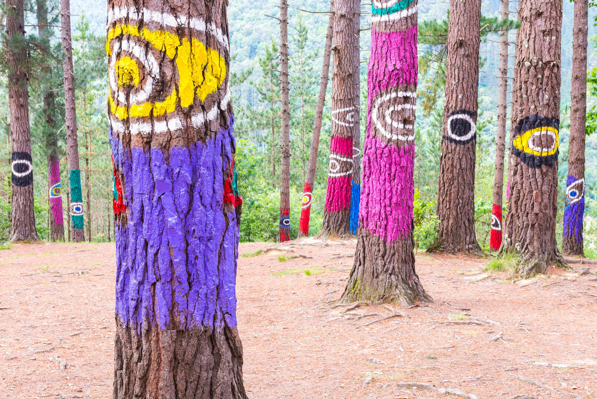 Oma Forest, or the 'Painted Forest,' is a unique art installation in Northen Spain's Urdaibai Biosphere Reserve.