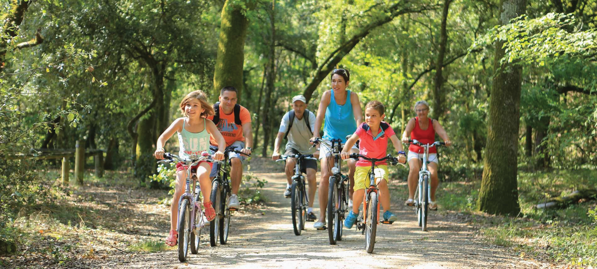 Family cycling in woods in the Vendée