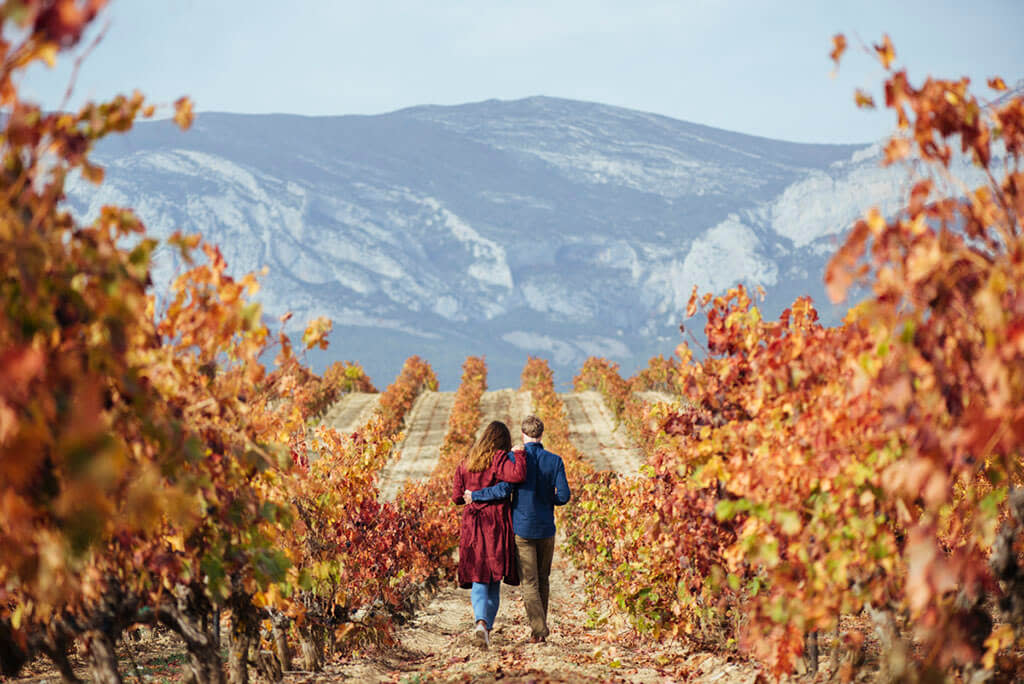Couple walking through a vineyard in Autumn, La Rioja, Spain