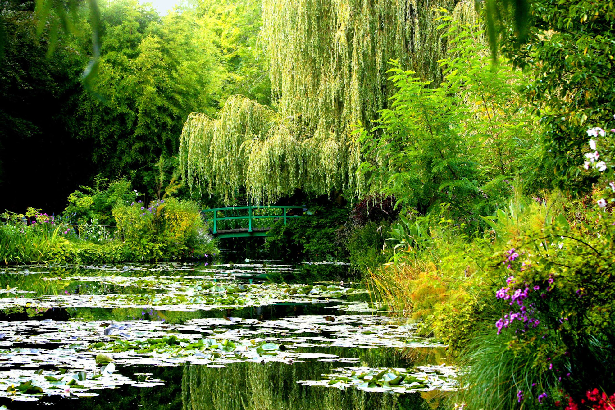 Monet's garden in Giverny © Shutterstock