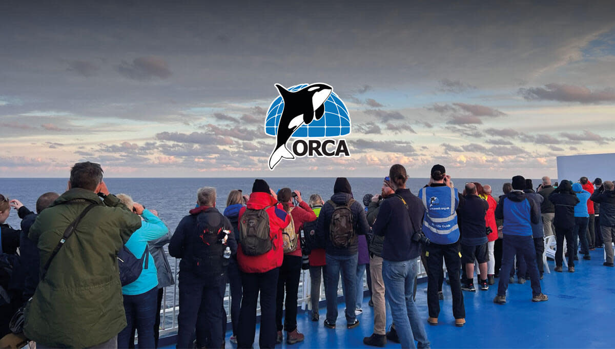 People on deck watching out for whale and dolphins with ORCA