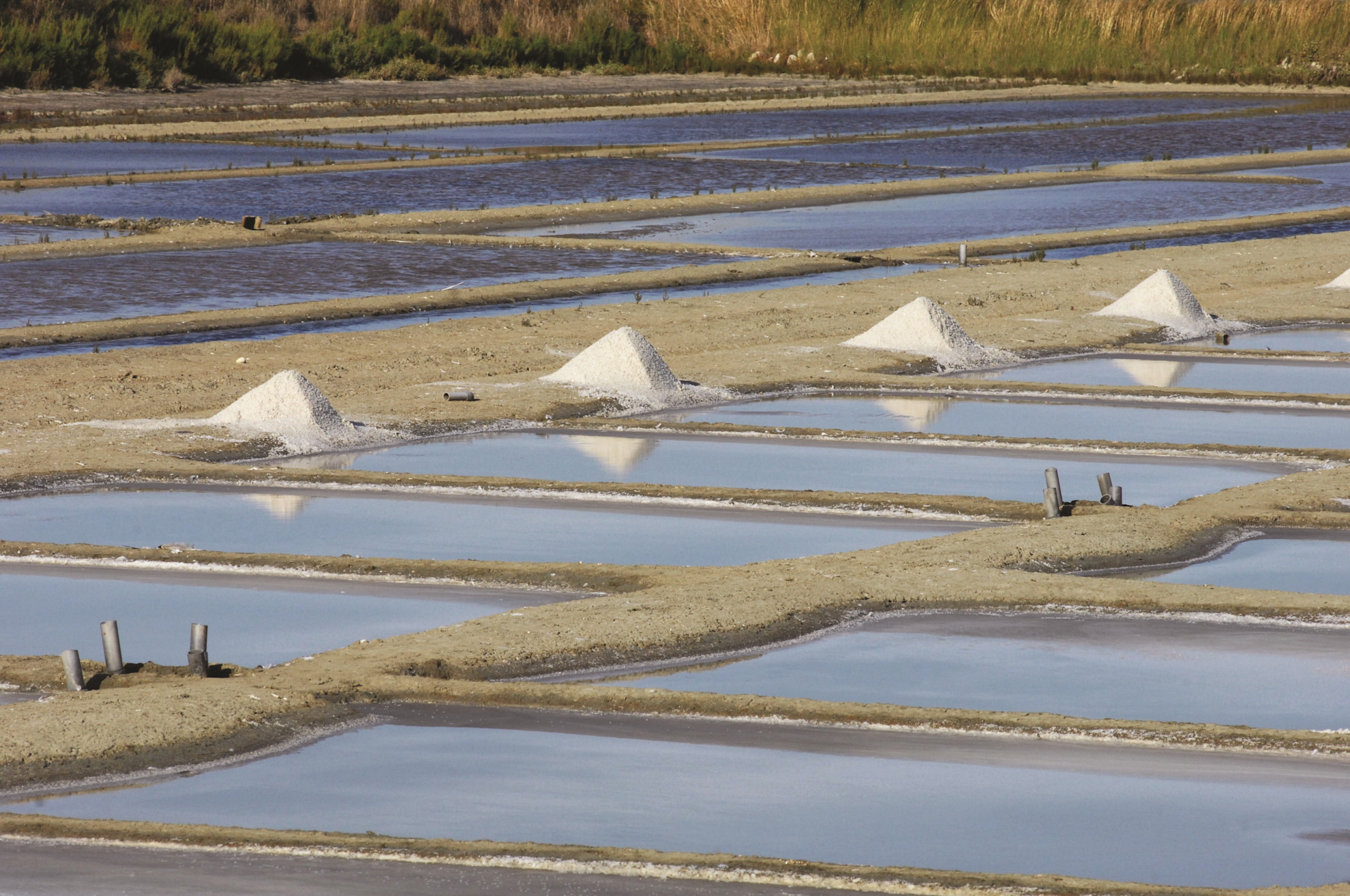 The Ile de Ré produces sea salt