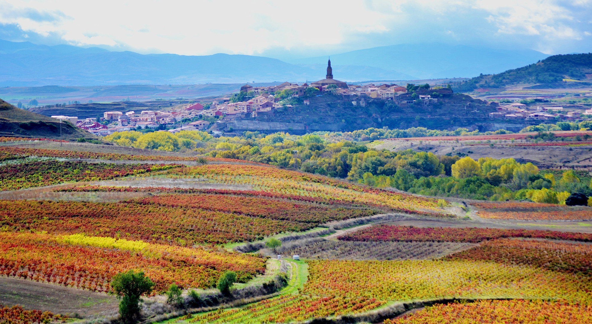 Village of Haro, La Rioja